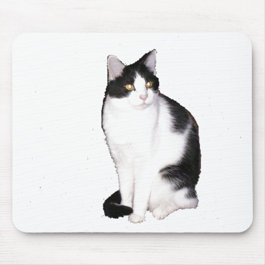 Cat 12、マウスパッド マウスパッド (正面)