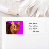 Cat 14差出人住所ラベル ラベル (インサイチュ)