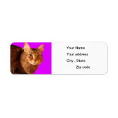 Cat 14差出人住所ラベル ラベル (正面)