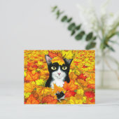 cat 447 ポストカード (スタンド正面)