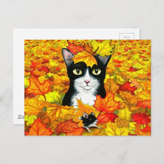 cat 447 ポストカード (正面/裏面)