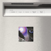 Cat 570 マグネット (インサイチュ (食洗機))