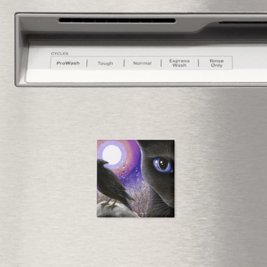 Cat 570 マグネット (インサイチュ (食洗機))