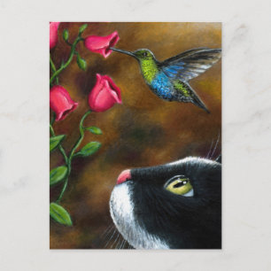 Cat 571 Tuxedo with Hummingbird ポストカード