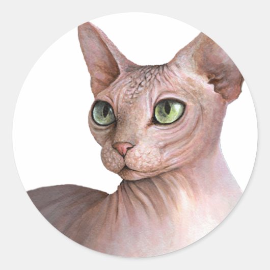 Cat 578 Sphynx white background ラウンドシール (正面)