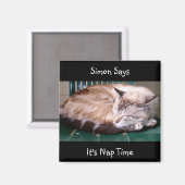 Cat 7、それは昼寝の時間だ、サイモンは言う、磁石 マグネット (正面/裏面)