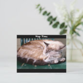Cat 7、昼寝時間、はがき ポストカード (スタンド正面)