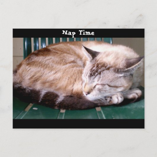 Cat 7、昼寝時間、はがき ポストカード (正面)