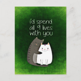 cat-859033.jpg ポストカード