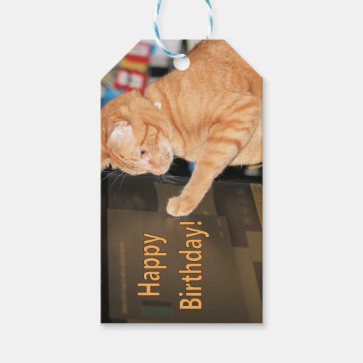cat・a・stroph・ic birthdays not allowedギフトラベル ギフトタグ (正面)