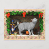 Cat and Christmas stuff ポストカード (正面)