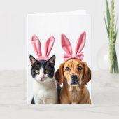 Cat And Dog Friends Fun Card カード (正面)