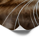 Cat Art 20" x 20インチ、ポスター紙（半光沢） ポスター (コーナー)