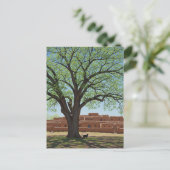 Cat at Taos Pueblo New Mexico ポストカード (スタンド正面)