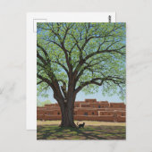 Cat at Taos Pueblo New Mexico ポストカード (正面/裏面)