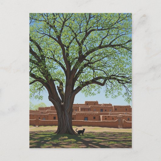 Cat at Taos Pueblo New Mexico ポストカード (正面)