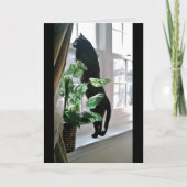 Cat at Windowノートカード カード (正面)