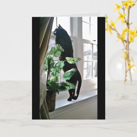 Cat at Windowノートカード カード (黄色い花)