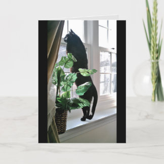 Cat at Windowノートカード カード