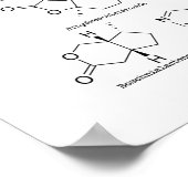 Cat attractant ポスター (角)