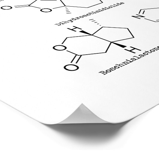 Cat attractant ポスター (角)