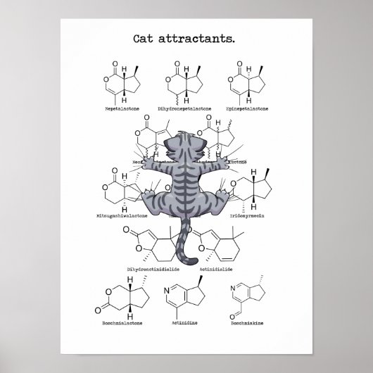 Cat attractant ポスター (正面)