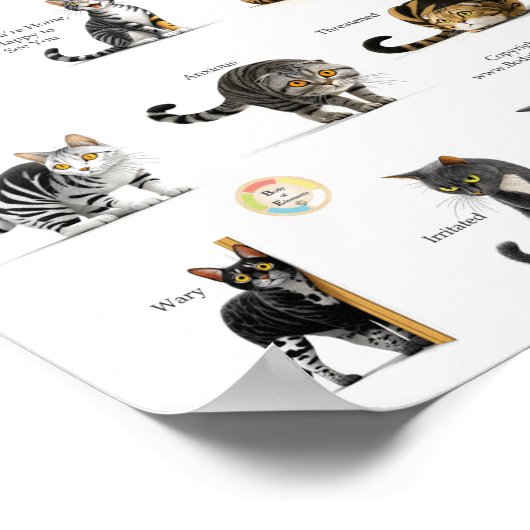 Cat Body Language Chart ポスター (角)