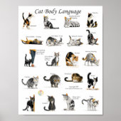 Cat Body Language Chart ポスター (正面)