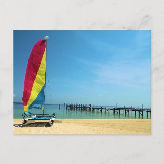 Cat by the Sea – セーリングポストカード ポストカード (正面)