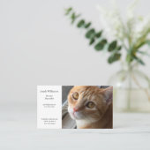 Cat by the window名刺 名刺 (スタンド正面)