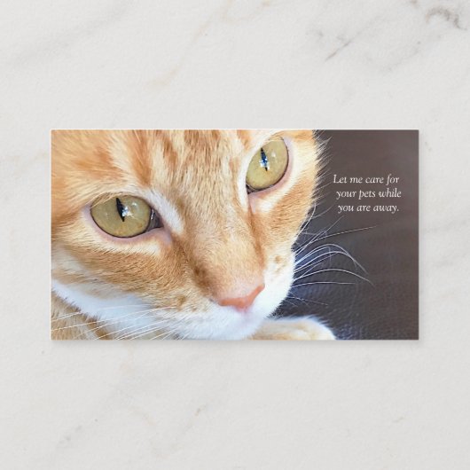 Cat by the window名刺 名刺 (裏面)