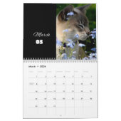 cat calendar 2024 – カレンモダンダーの切り取り カレンダー (3月 2026)