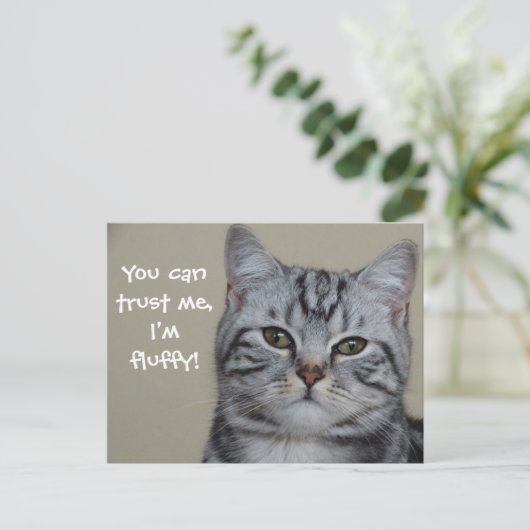 Cat Caption Trust Me I' Fuffy ポストカード (スタンド正面)
