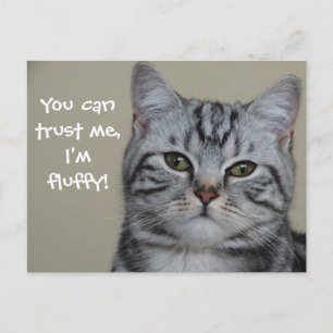 Cat Caption Trust Me I' Fuffy ポストカード