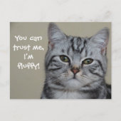 Cat Caption Trust Me I' Fuffy ポストカード (正面)