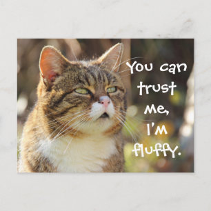 Cat Caption Trust Me I' Fuffy ポストカード