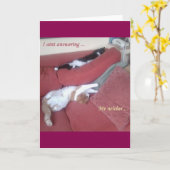 Cat Card 2おもしろい写真/文字プラス背面抽象芸術アート カード (黄色い花)