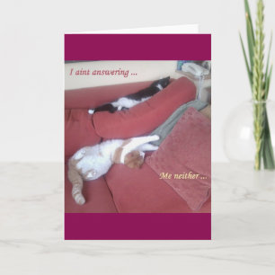Cat Card 2おもしろい写真/文字プラス背面抽象芸術アート カード