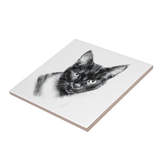 Cat Charcoal タイル (側面)