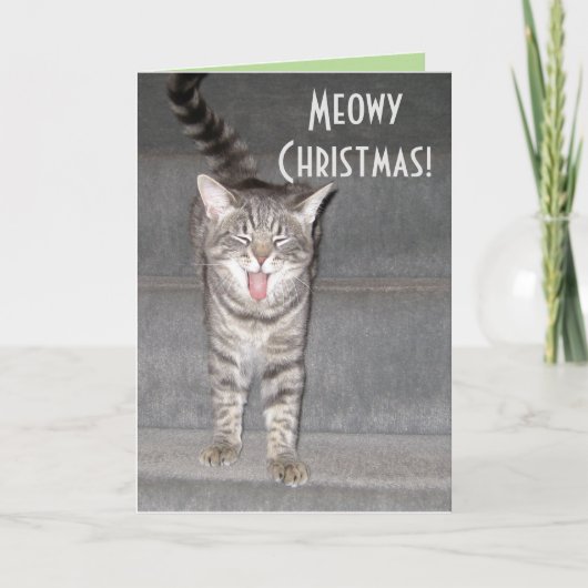 Cat Christmas Cardから カード (正面)