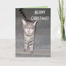 Cat Christmas Cardから カード