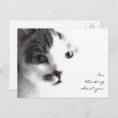 Cat Close Up 考える's Youのポストカード ポストカード (正面/裏面)