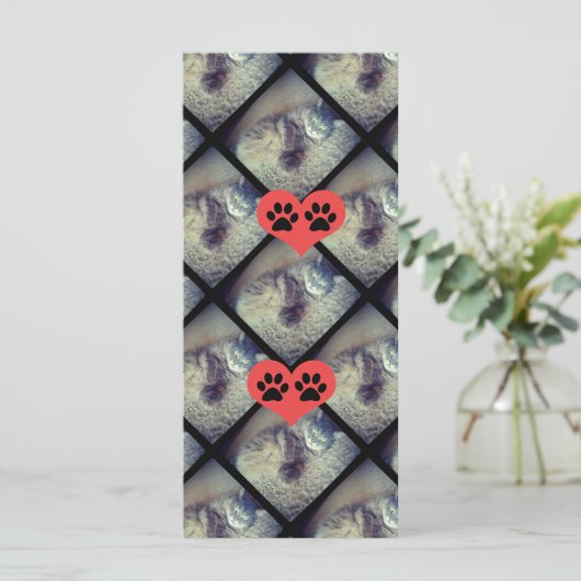 Cat Collage with PawPrints by Shirley Taylor (スタンド正面)