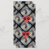 Cat Collage with PawPrints by Shirley Taylor (正面/裏面)