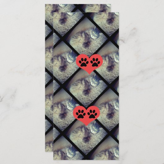 Cat Collage with PawPrints by Shirley Taylor (正面/裏面)