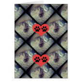 Cat Collage with PawPrints by Shirley Taylor (正面)