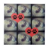 Cat Collage with PawPrints by Shirley Taylor タイル (正面)