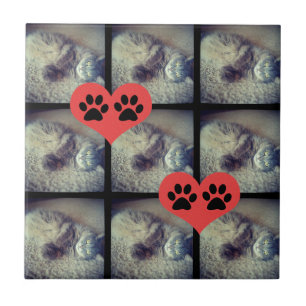 Cat Collage with PawPrints by Shirley Taylor タイル