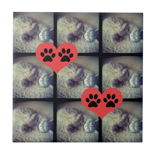 Cat Collage with PawPrints by Shirley Taylor タイル (正面)