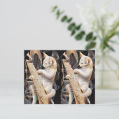 Cat Crescendo – Surrealist Art Postcard ポストカード (スタンド正面)